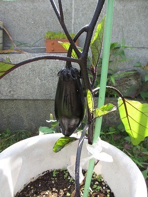 f:id:amihsim:20120614194444j:image