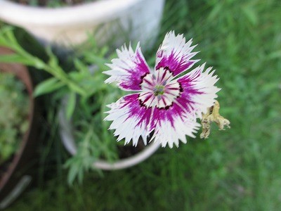 f:id:amihsim:20120802131059j:image