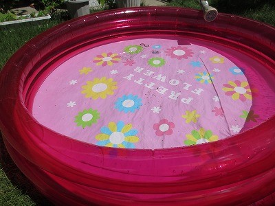 f:id:amihsim:20120802131337j:image