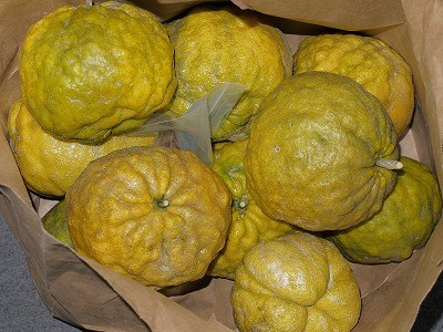 f:id:amihsim:20121126081817j:image