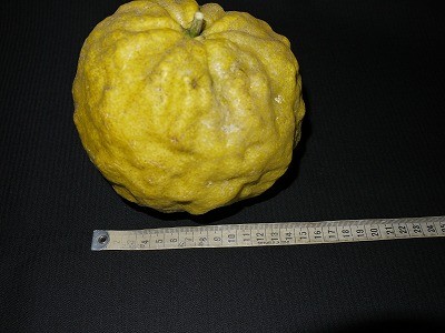 f:id:amihsim:20121126082050j:image
