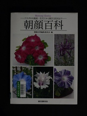 f:id:amihsim:20121128163558j:image
