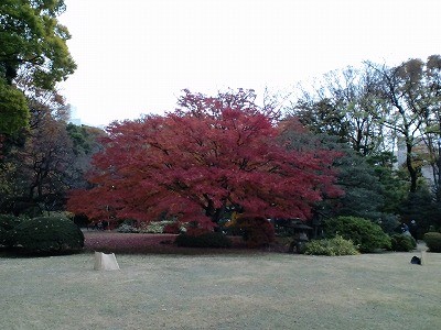 f:id:amihsim:20121205164342j:image f:id:amihsim:20121205164342j:image