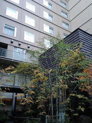 f:id:amihsim:20121209103858j:image