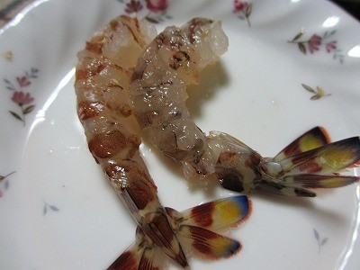 f:id:amihsim:20130101100613j:image