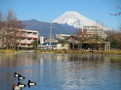 f:id:amihsim:20130101101238j:image