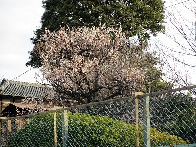f:id:amihsim:20130303083246j:image