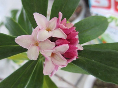 f:id:amihsim:20130303083421j:image