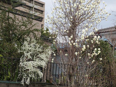 f:id:amihsim:20130318080426j:image