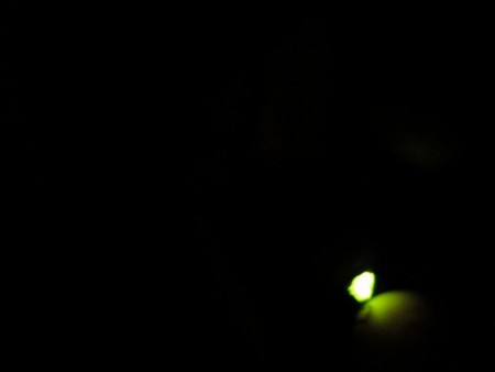 f:id:amihsim:20140617064846j:image