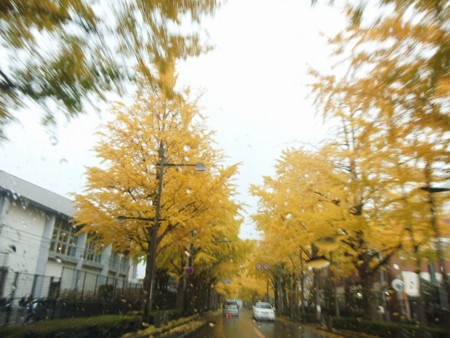f:id:amihsim:20141127082658j:image