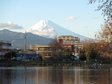 f:id:amihsim:20141219165857j:image
