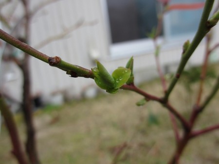 f:id:amihsim:20150307083535j:image