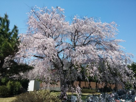 f:id:amihsim:20150401124757j:image