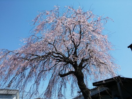 f:id:amihsim:20150401124932j:image