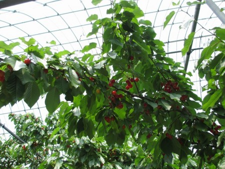 f:id:amihsim:20160607114247j:image