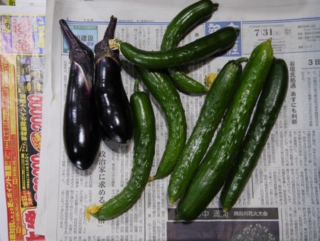 f:id:amihsim:20160808081623j:image