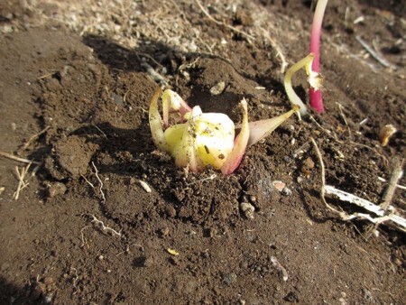 f:id:amihsim:20170320181905j:image