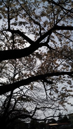 f:id:amihsim:20170403115346j:image