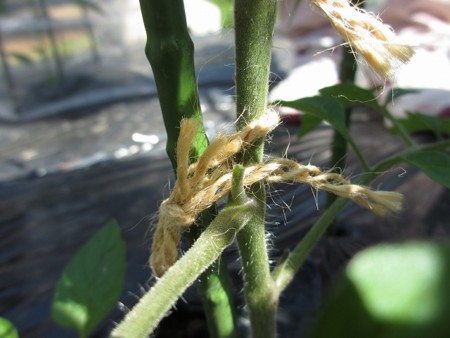 f:id:amihsim:20170429104931j:image