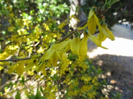 f:id:amihsim:20171221074613j:image