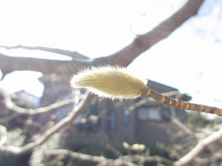 f:id:amihsim:20180305080202j:image