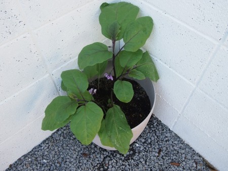 f:id:amihsim:20180819090506j:image