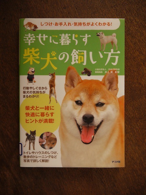 f:id:amihsim:20180905083234j:plain