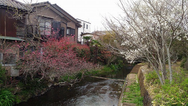 f:id:amihsim:20190327170852j:plain