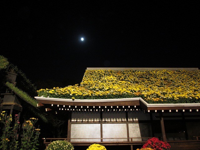 f:id:amihsim:20191110092435j:plain