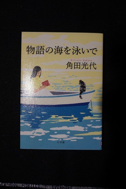 f:id:amihsim:20201007063435j:plain