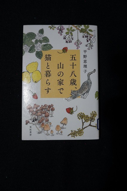 f:id:amihsim:20201024151529j:plain
