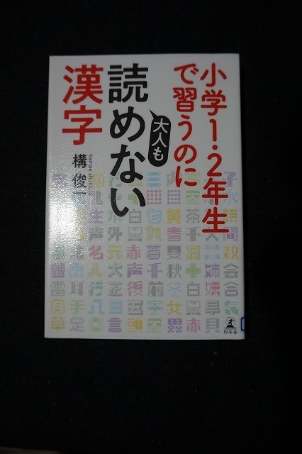 f:id:amihsim:20201103140452j:plain