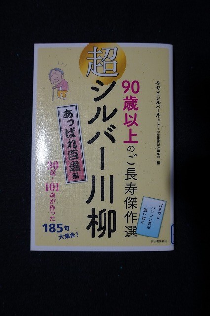 f:id:amihsim:20201103140635j:plain