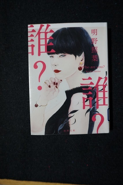 f:id:amihsim:20201114063704j:plain