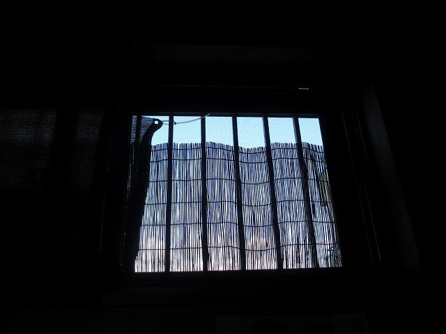 f:id:amihsim:20201116083700j:plain