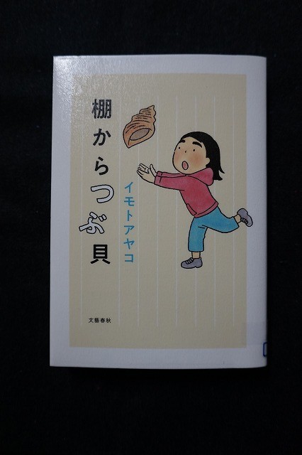 f:id:amihsim:20201222104431j:plain
