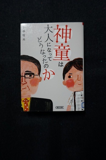 f:id:amihsim:20210129130249j:plain