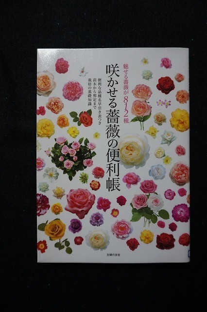 f:id:amihsim:20210522171850j:plain