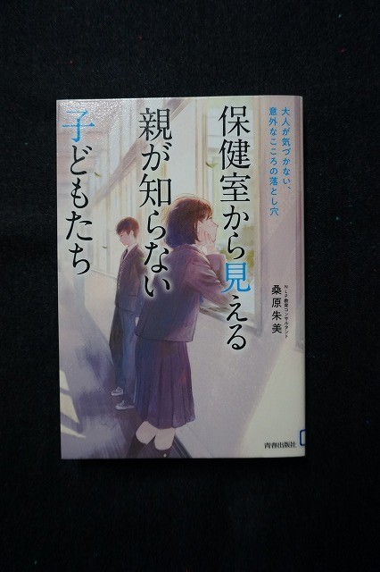 f:id:amihsim:20210522172121j:plain