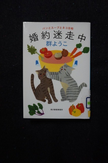 f:id:amihsim:20210919154653j:plain