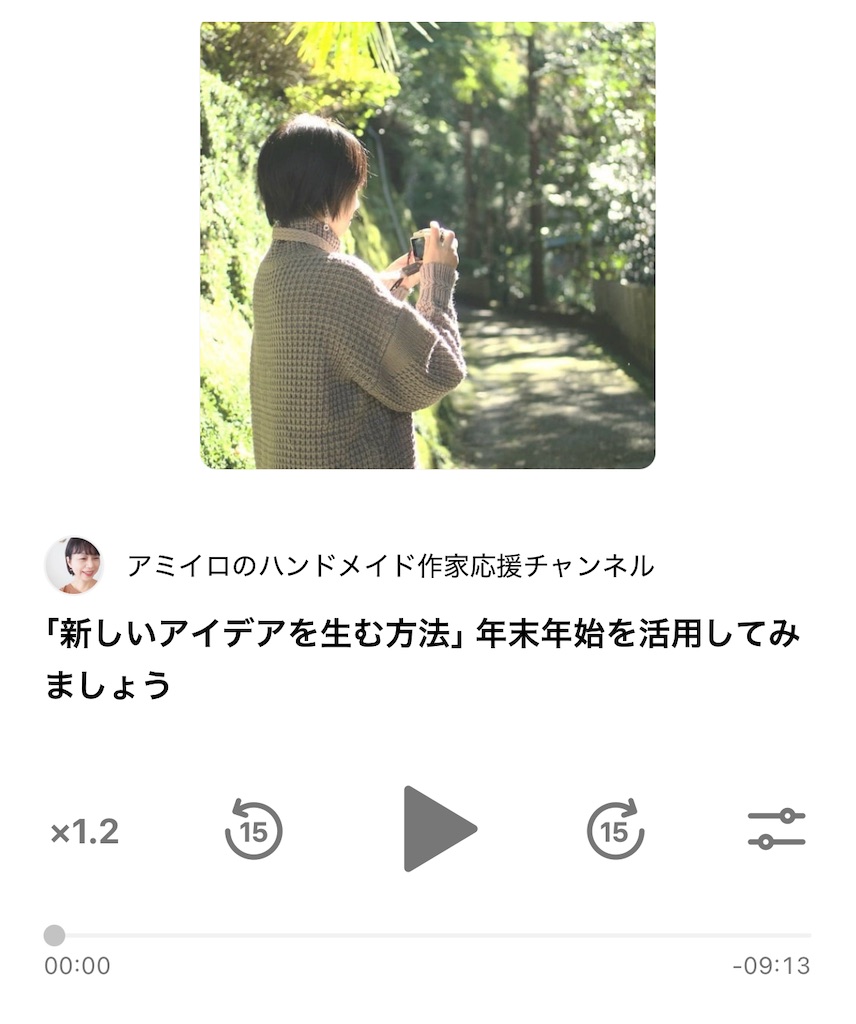 f:id:amiiro:20241231175943j:image