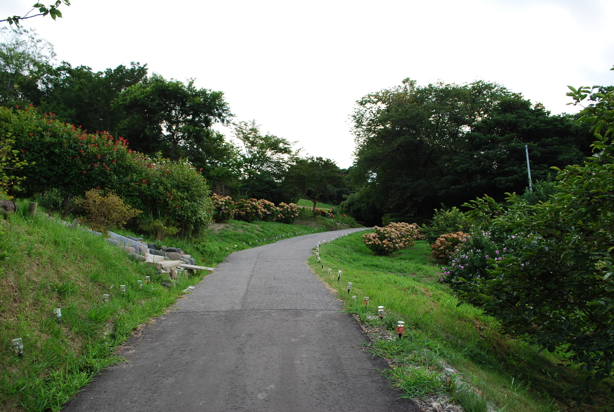 f:id:amikic:20190805103150j:plain