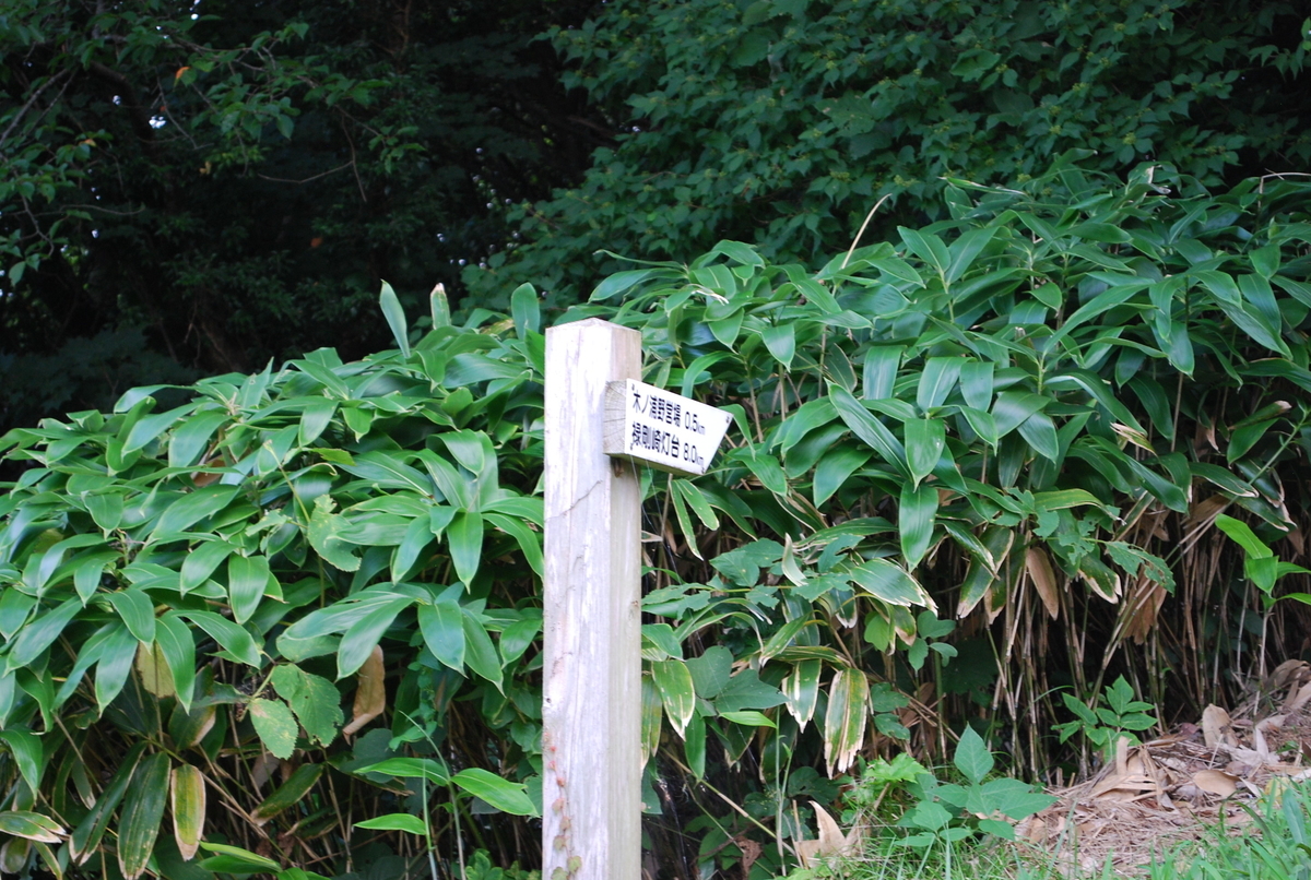 f:id:amikic:20190806141631j:plain f:id:amikic:20190806141631j:plain