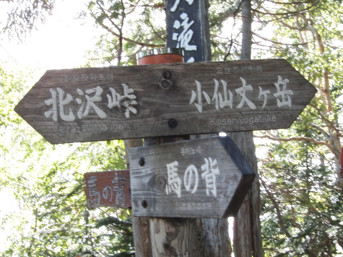 f:id:amikic:20190826114119j:plain