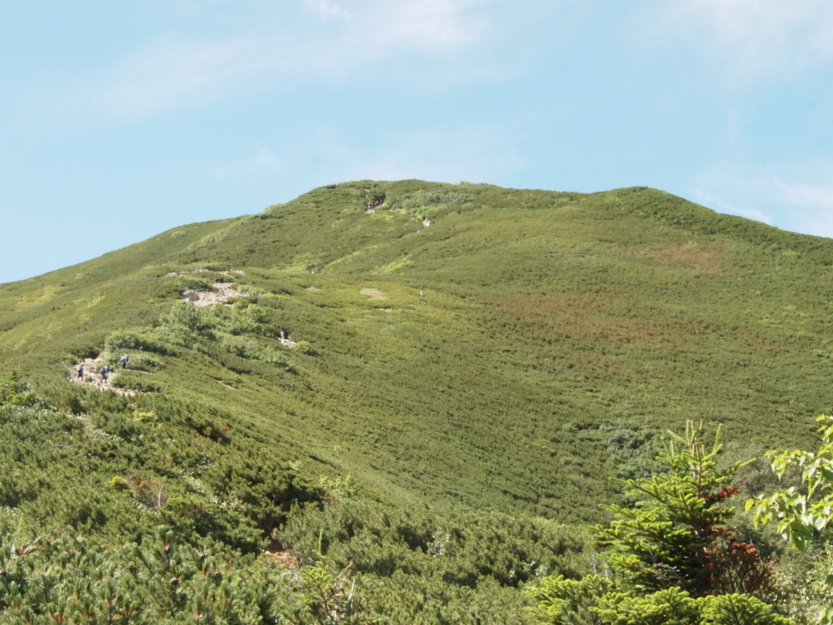 f:id:amikic:20190826114538j:plain