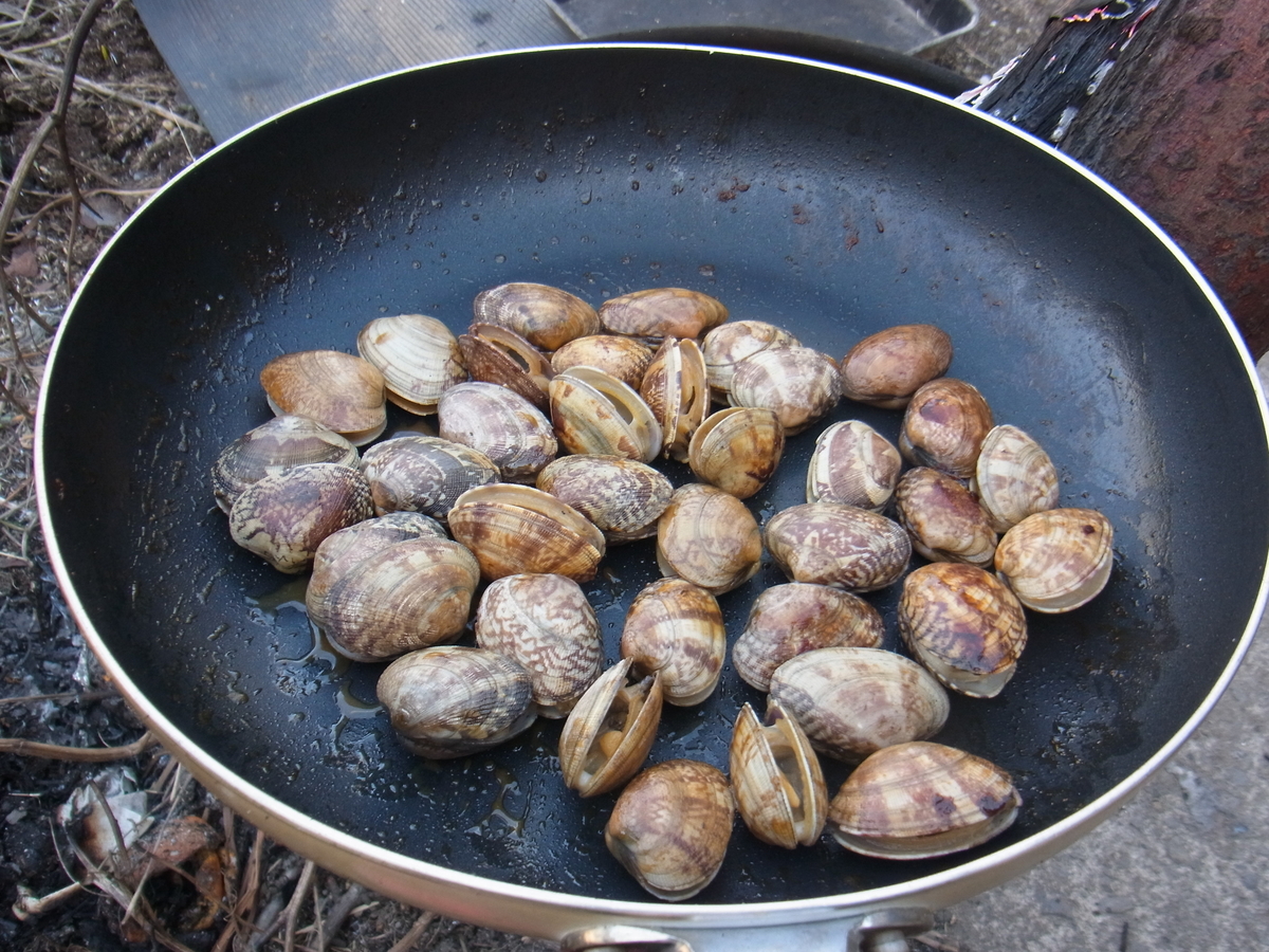 f:id:amikic:20200323155732j:plain