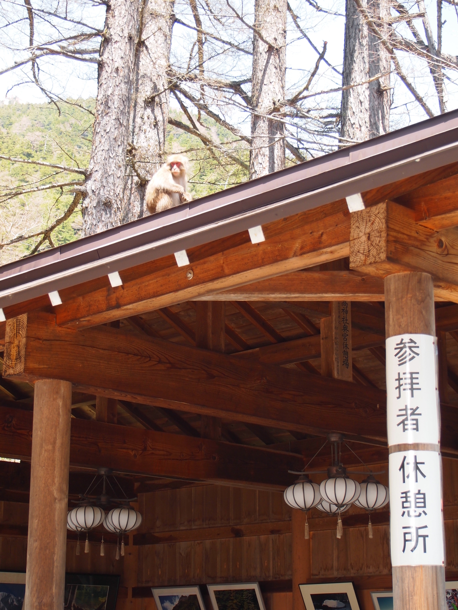 f:id:amikic:20200709110908j:plain