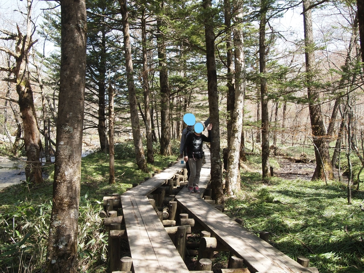 f:id:amikic:20200709113845j:plain