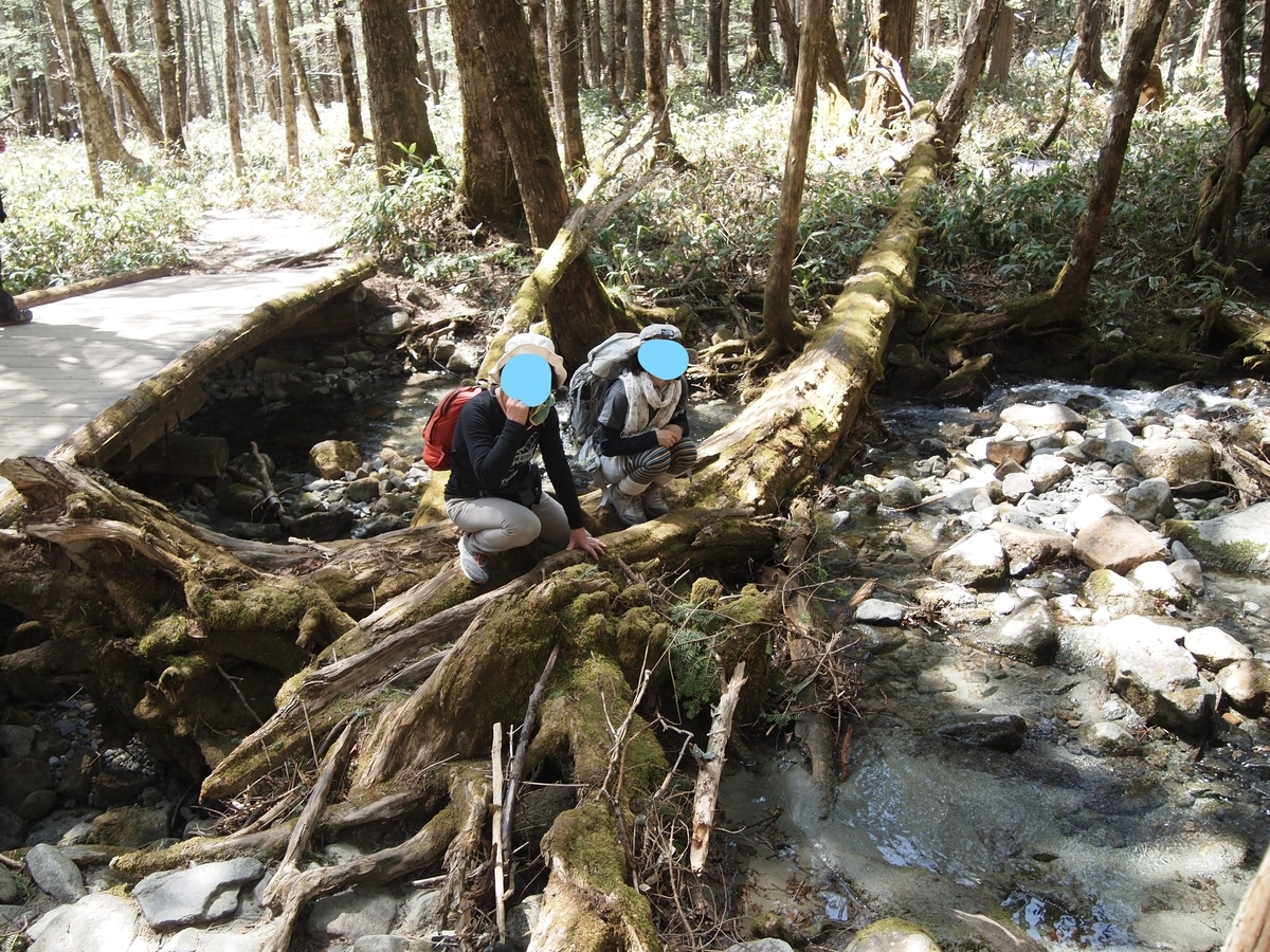 f:id:amikic:20200709113929j:plain